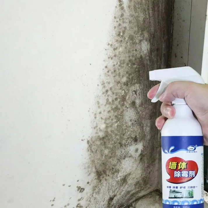 Rešite se buđi zauvek uz naš sprej za uklanjanje buđi