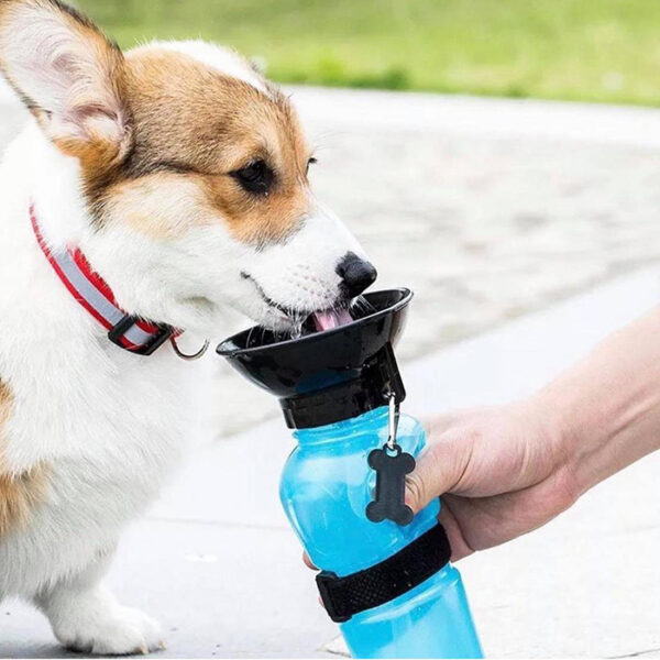 🐕🐈 Aqua Dog Flašica za Pse i Mačke – Voda Gde God Da Krenete! 🚶‍♂️💧 - Image 5